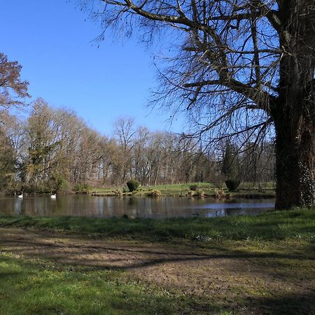 Maison La Demi-Lune Boulleret Buitenkant foto